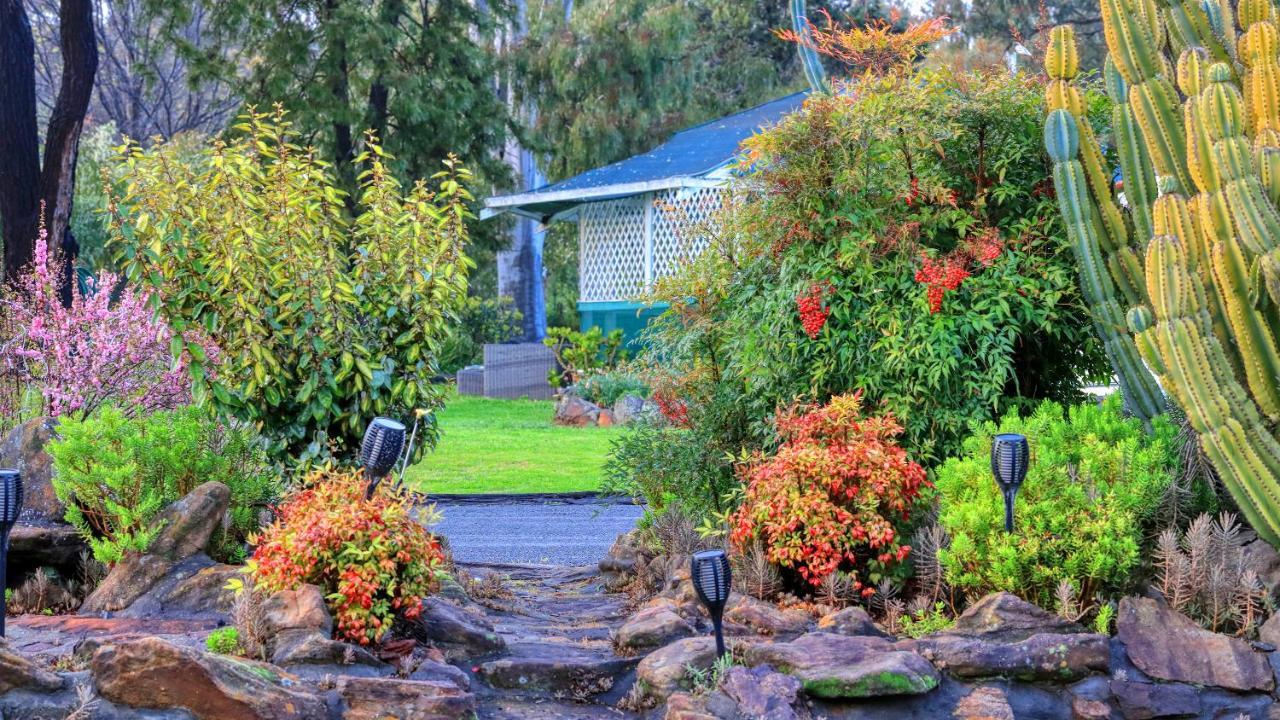 Azalea Motel Coonabarabran Εξωτερικό φωτογραφία
