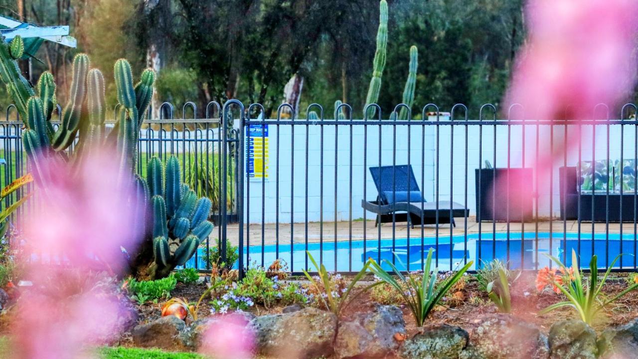 Azalea Motel Coonabarabran Εξωτερικό φωτογραφία