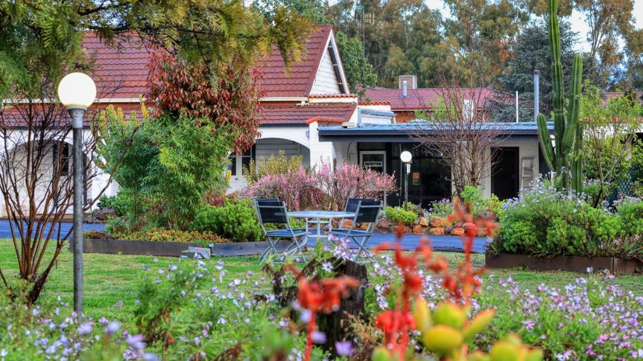 Azalea Motel Coonabarabran Εξωτερικό φωτογραφία