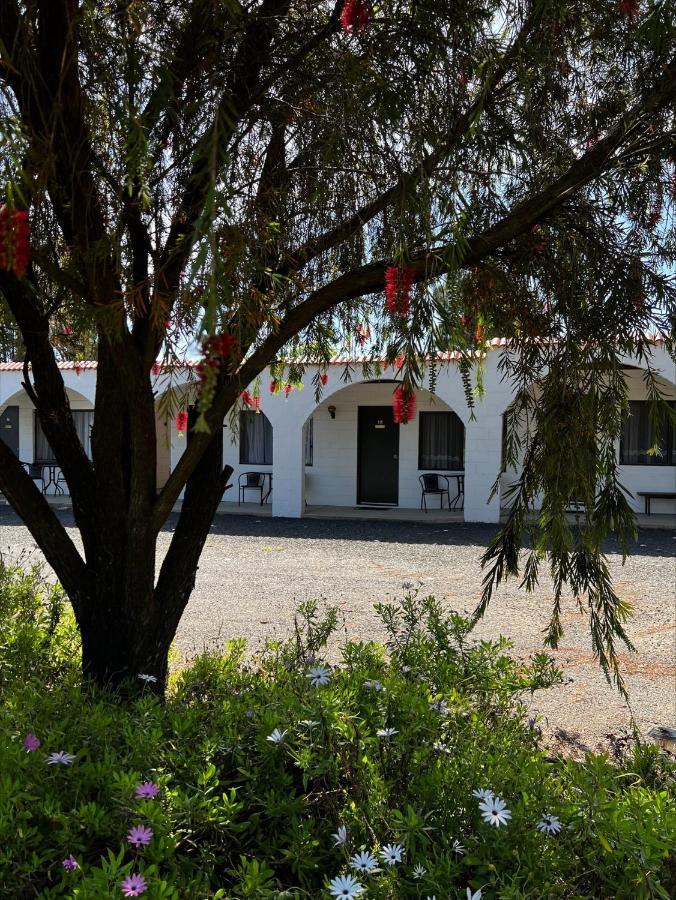 Azalea Motel Coonabarabran Εξωτερικό φωτογραφία