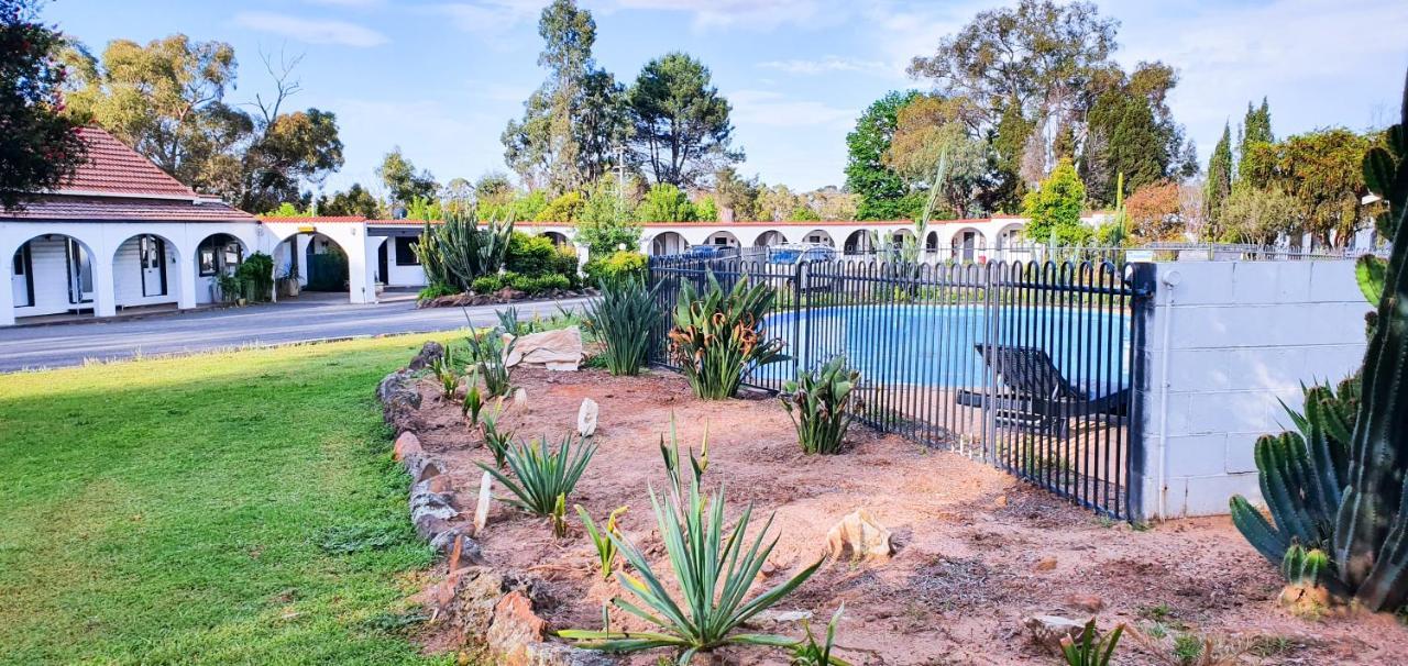 Azalea Motel Coonabarabran Εξωτερικό φωτογραφία
