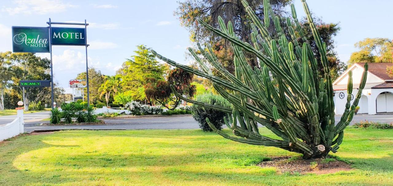 Azalea Motel Coonabarabran Εξωτερικό φωτογραφία