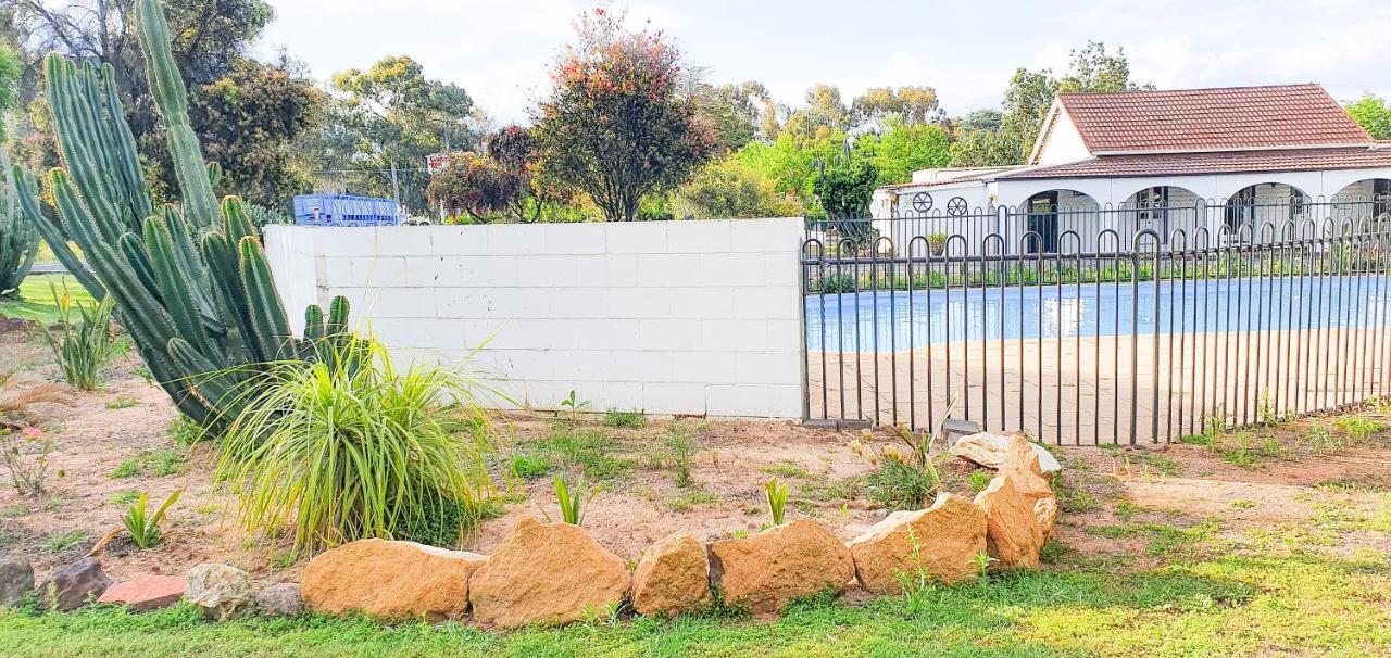 Azalea Motel Coonabarabran Εξωτερικό φωτογραφία