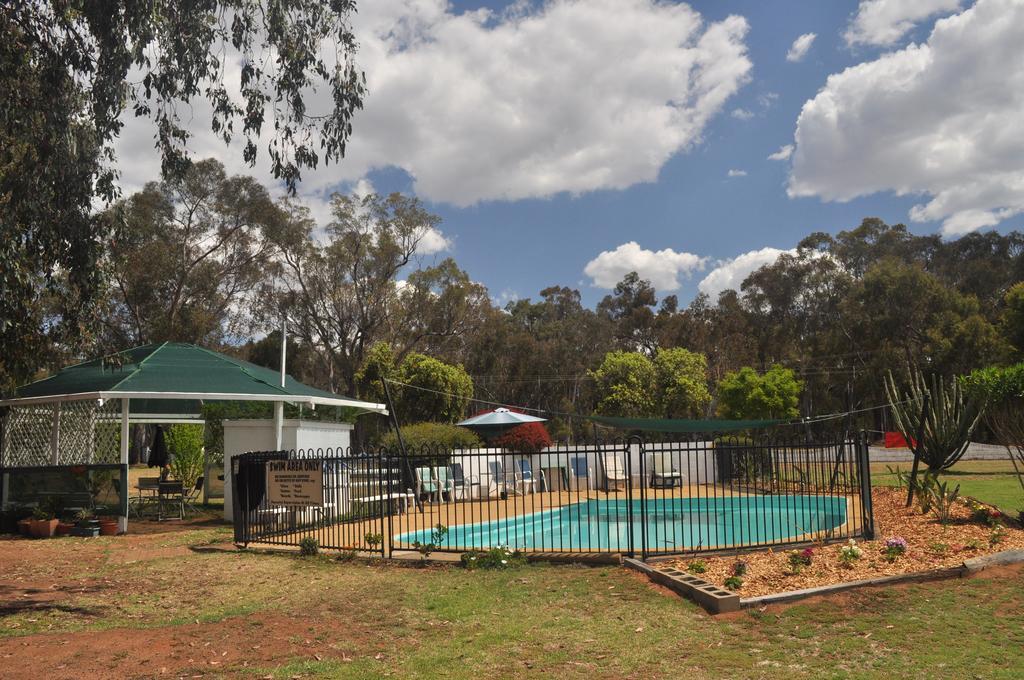 Azalea Motel Coonabarabran Εξωτερικό φωτογραφία