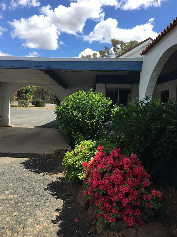 Azalea Motel Coonabarabran Εξωτερικό φωτογραφία