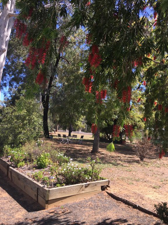 Azalea Motel Coonabarabran Εξωτερικό φωτογραφία
