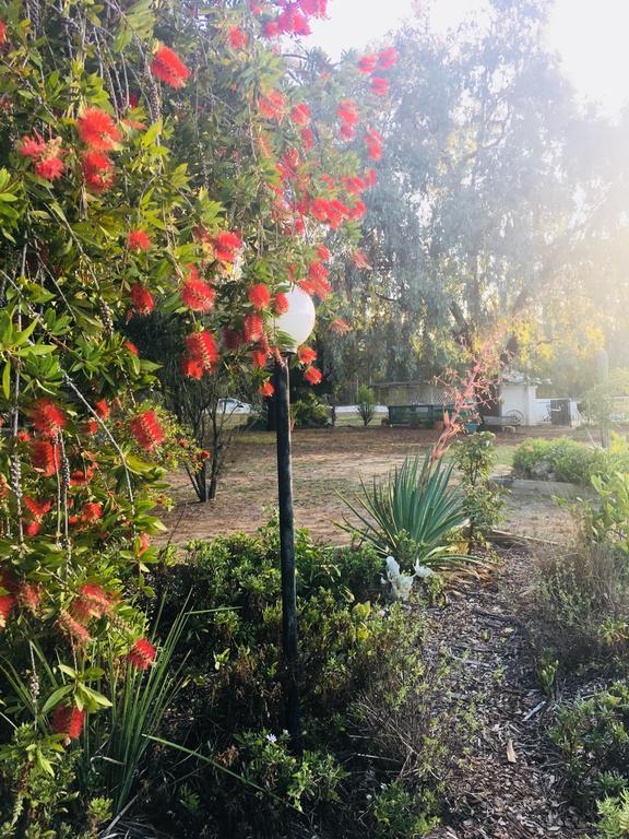 Azalea Motel Coonabarabran Εξωτερικό φωτογραφία